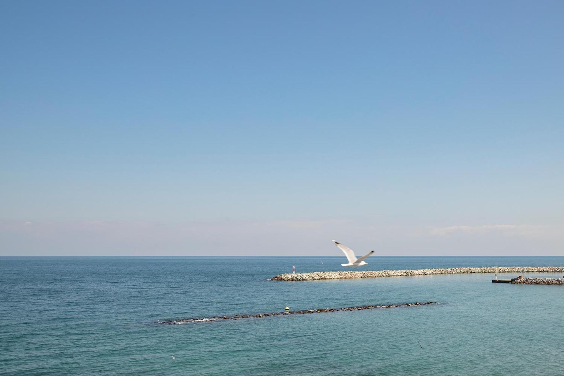 Zefyros Sea View Hotel Platamonas Zewnętrze zdjęcie